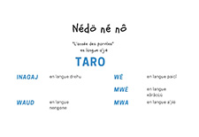 Nédö né nô "l'année des paroles" #4 Taro