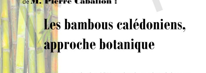 Affiche causerie Cabalion bambous