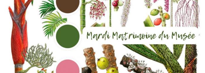 mardi matrimoine février 26