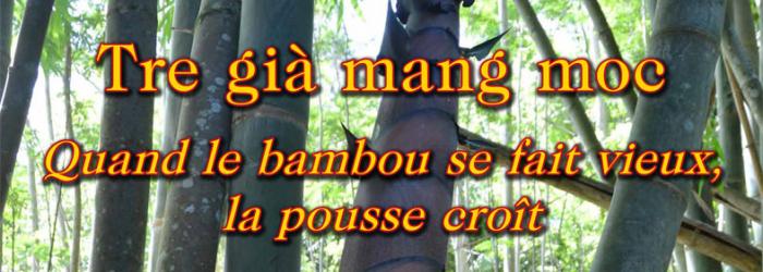 Affiche expo "Quand le bambou se fait vieux"