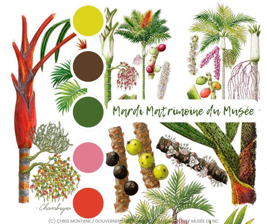 mardi matrimoine février 26