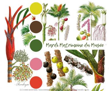 mardi matrimoine février 26