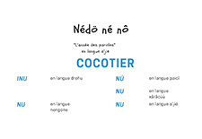 Nédö né nô "l'année des paroles" #3 Cocotier