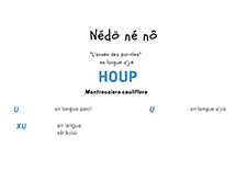 Nédö né nô "l'année des paroles" #5 Houp